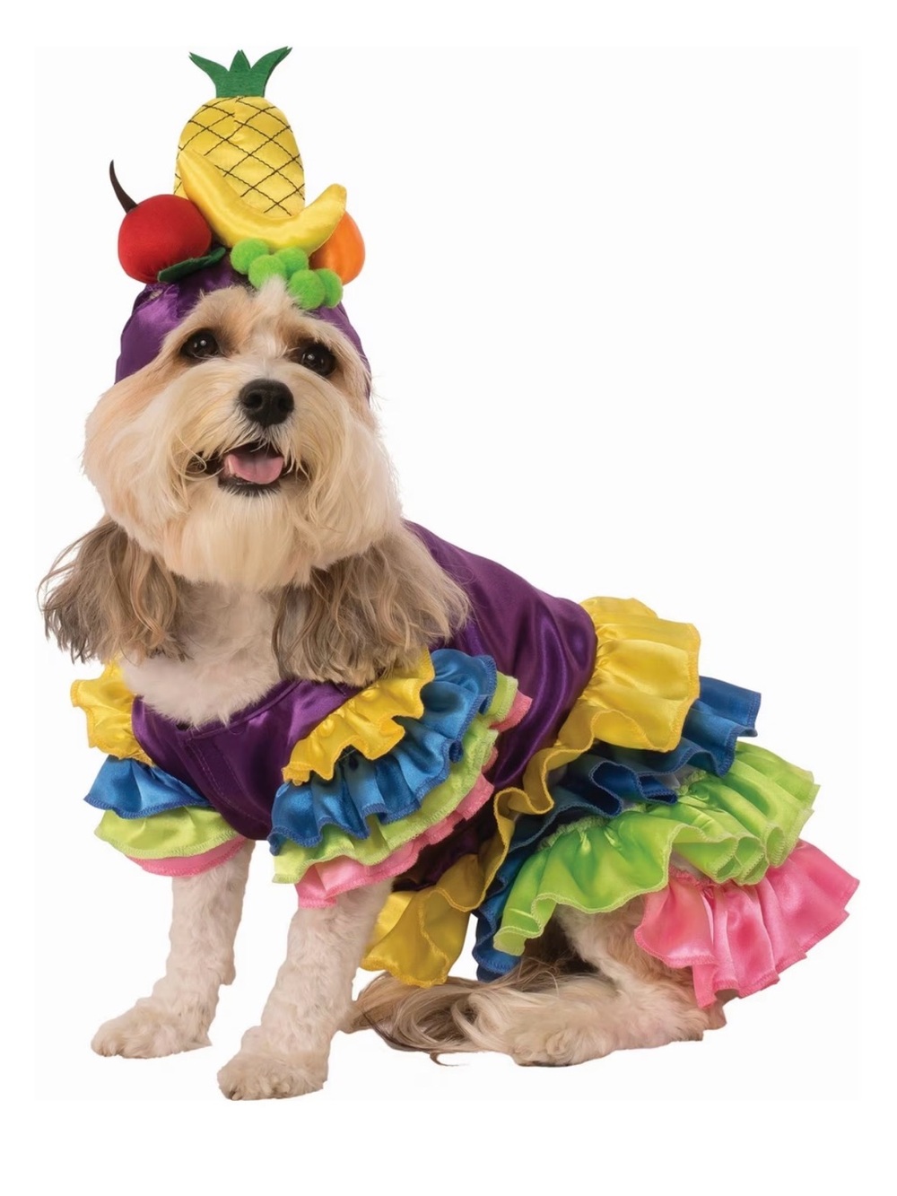 Rubie's Brazilian Bombshell Multicolor Dog Costume with Fruit Headpiece